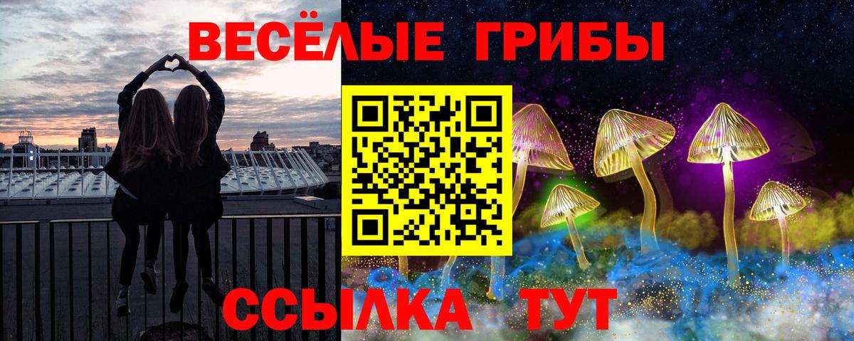 Псилоцибиновые грибы MAGIC MUSHROOMS Железногорск