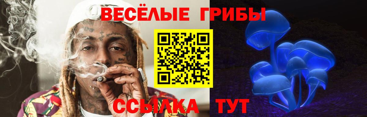 Галлюциногенные грибы мицелий  Вход с VPN  Железногорск 